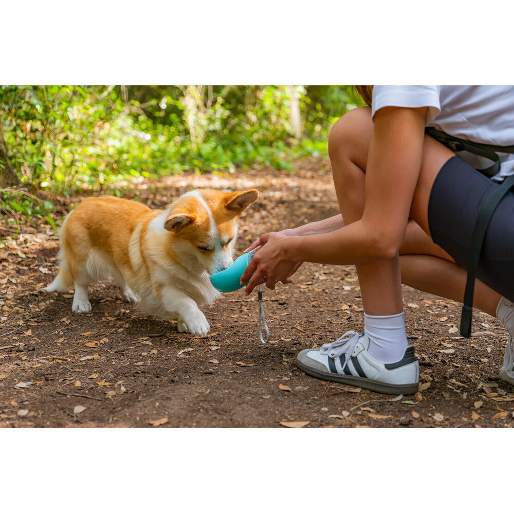 Draagbare drinkfles voor honden en huisdieren 350 ml #4