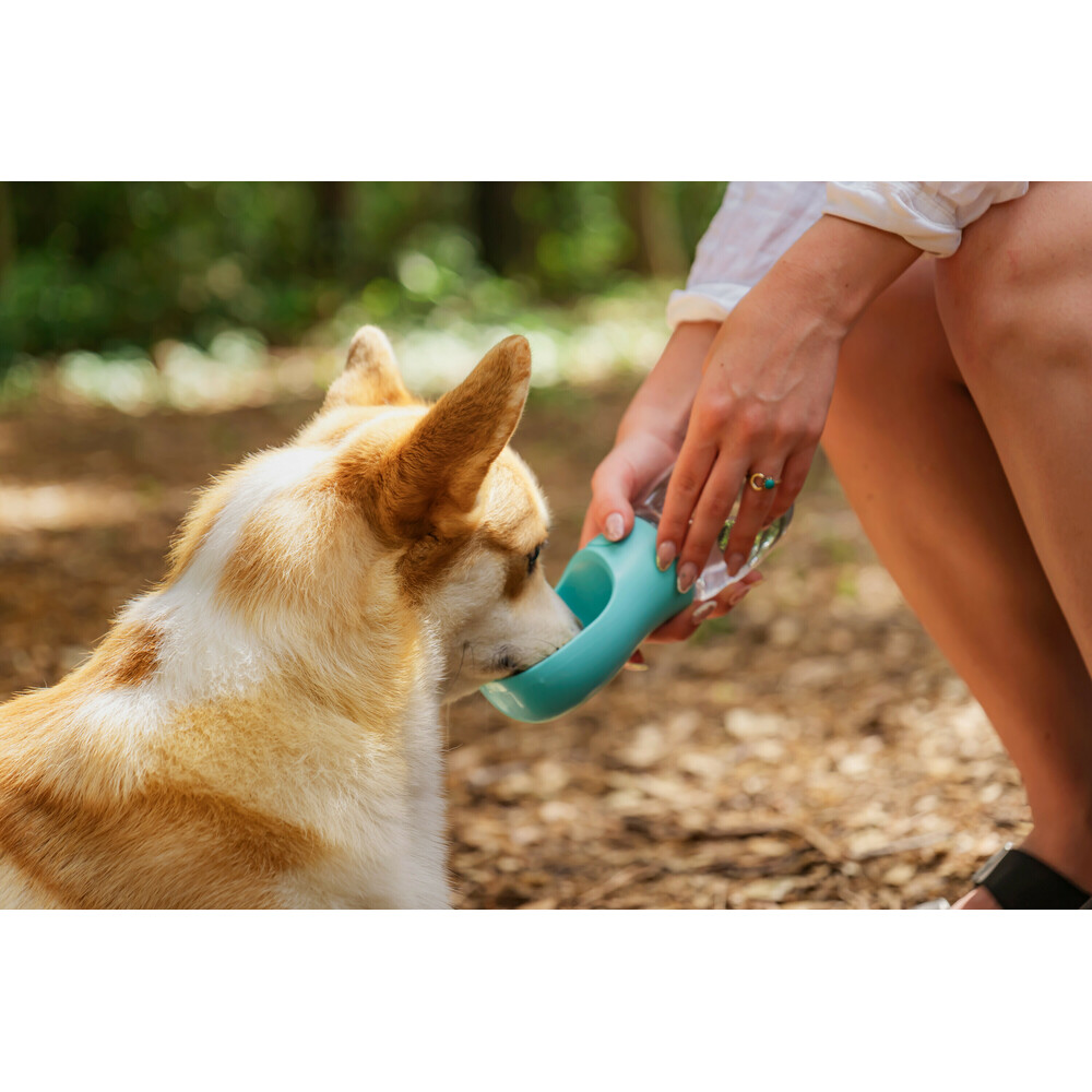 Draagbare drinkfles voor honden en huisdieren 350 ml #3
